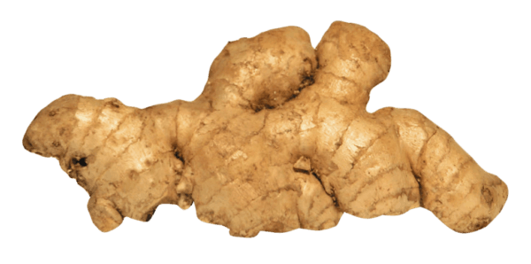 ginger rooot organic